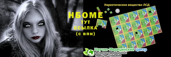 стафф Бородино